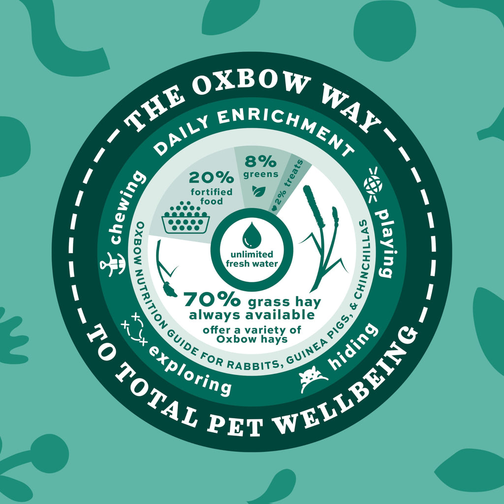 Oxbow Western Timothy Hay, Rabbit & Guinea Pig Hay, High Fiber, USA, 90 oz