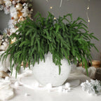 LZNPA 12 Pcs Realistic Christmas Pine Branches Natural Droopy Soft Bendable
