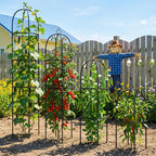 CL FUN Metal Trellis for Climbing Plants Outdoor, 2026 Upgrade 100% Metal with Powder Coating, Rose, Flowers, Grape, Pea, Cucumber Tomato Cage - 6.3 FT Freestanding Plant Support