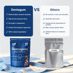 Dentagum Remineralizing Gum with Nano-Hydroxyapatite & Xylitol, 60 Pieces
