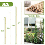 0.32”-0.4"/ 4 Feet Garden Stakes, Natural Bamboo Sticks Plant Stakes for Indoor and Outdoor Plants，Poles for Tomatoes, Beans, Potted Plants(50Pcs)