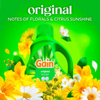 Gain Liquid Laundry Detergent, Now with Odor Defense, Original Scent, 81 fl oz, 61 Loads (Packaging May Vary)