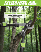 WORKPRO Extendable Bypass Lopper for Gardening, 25-37" Branch Cutter