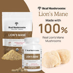 Real Mushrooms Lion’s Mane Powder - Organic Lions Mane Mushroom Extract for Cognitive Function & Immune Support - Brain Supplements for Memory and Focus - Vegan Mushroom Supplement, 150 Servings