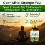 Organic Veda Holy Basil Capsules - Triple Complex Tulsi Leaf Supplement with Black Pepper Extract - Support Respiratory & Immune Health, Promotes Healthy Stress Response & Mood - 60 Vegan Capsules