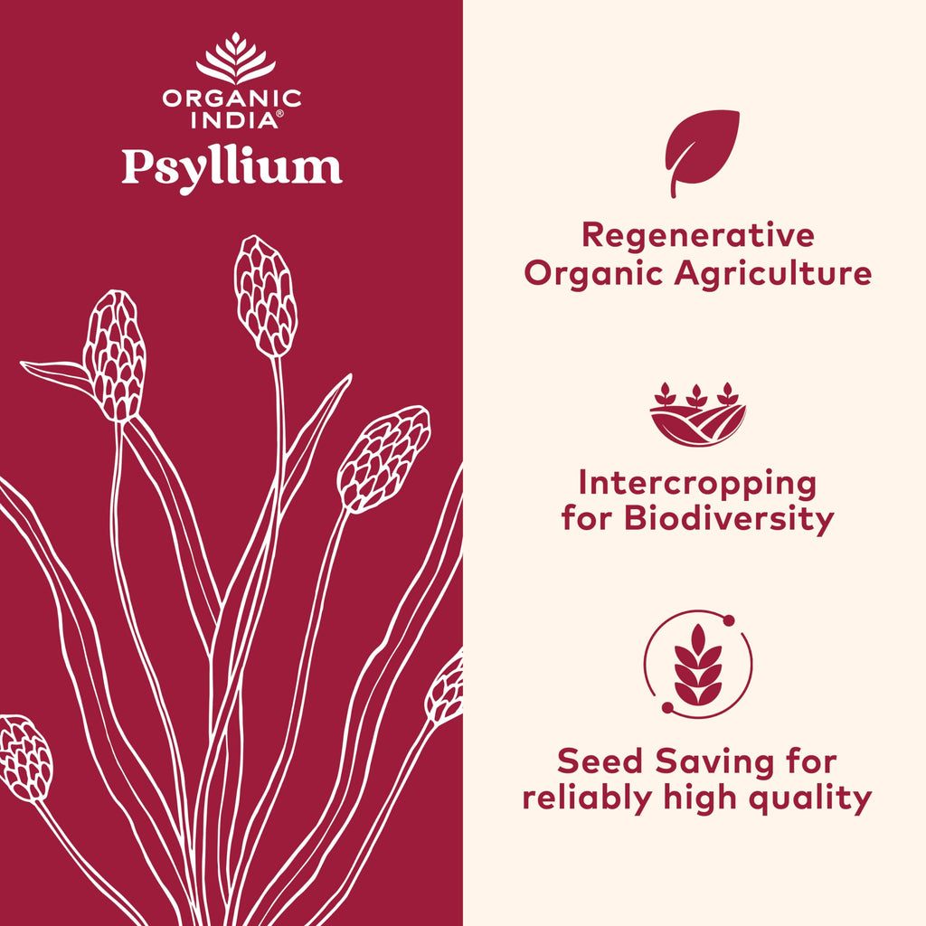 ORGANIC INDIA Psyllium Herbal Powder - Whole Husk Fiber, Healthy Elimination, Keto Friendly, Vegan, Gluten-Free, USDA Certified Organic, Non-GMO, Soluble & Insoluble Fiber - 12 oz Canister, 3 Pack