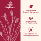 ORGANIC INDIA Whole Psyllium Husk Powder Organic - Psyllium Husk Fiber Supplement, Digestion Support, Vegan, Gluten-Free, Non-GMO, Soluble & Insoluble Fiber Source - 12 oz (Pack of 2)