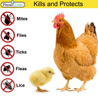 Premo Guard Poultry Spray - 32 oz - Kill Scaly Leg, Mites, Fleas, Lice, & Other Pest on Chickens and in Coops - Natural Plant Based Oils for Control, & Prevention - Family Safe with No Egg Withdrawl