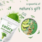 Organic Celery Powder Detox Blood