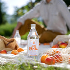 Acqua Panna Natural Spring Water, 16.9 Fl Oz, 24-Pack