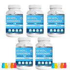 BIO VITALICA Sea Moss Ashwagandha Gummies - Organic Irish Sea Moss Blended with Burdock Root & Bladderwrack - Natural Energy & Calm Support for Adults - 5 Packs