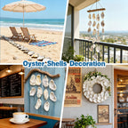 VMEECARL 30Pcs 4"-5" Concave Oyster Shells for Crafts Natural Large Oyster Shells for DIY Crafting Christmas Ornaments Decoupage Beach Decor Arts and Bulk Clam Shells Sea Shells for Crafts