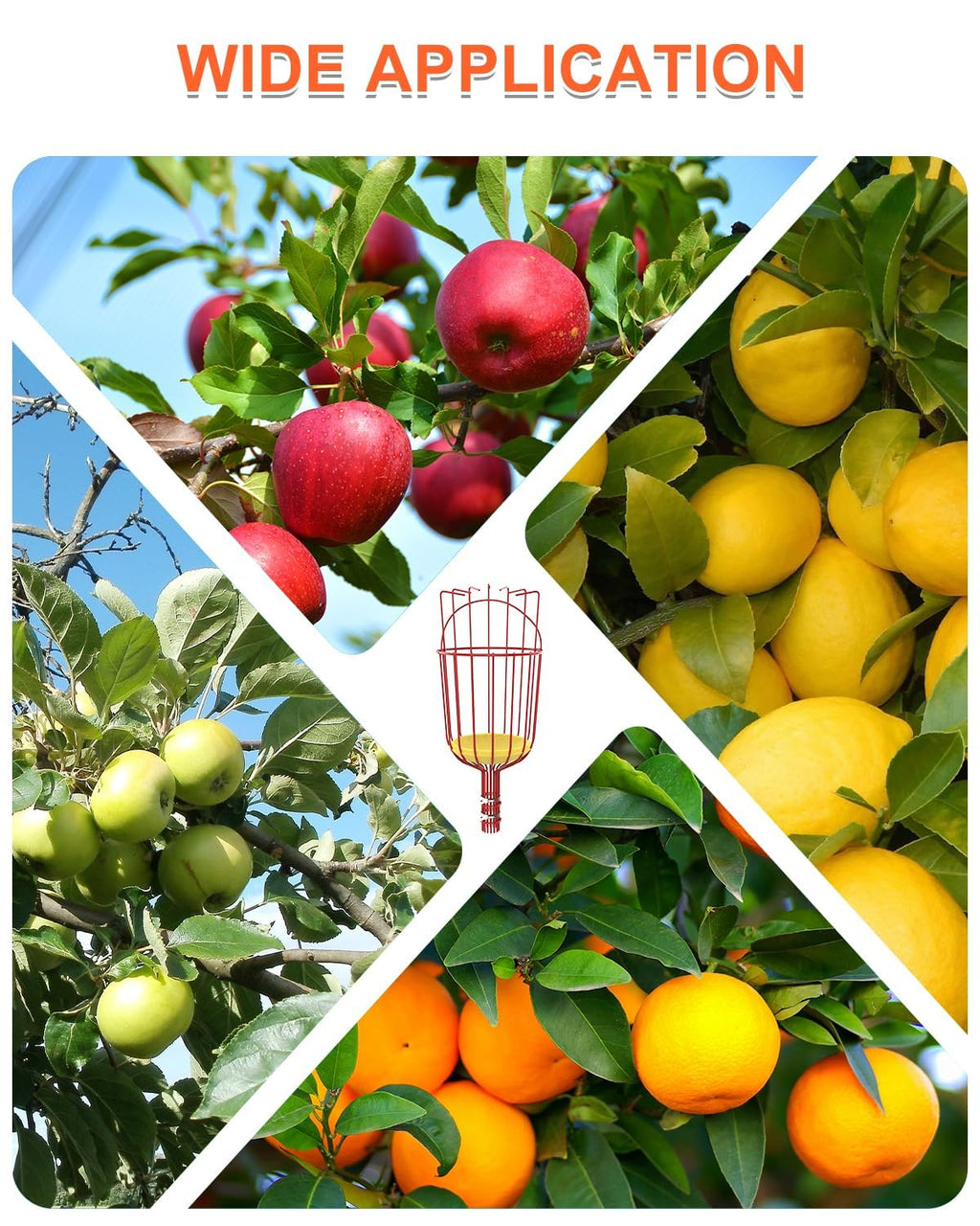 Buyplus 26ft High Reach Fruit Picker with Basket Telescoping, 5-20 Foot Heavy Duty Sturdy Aluminium Telescoping Extension Pole, Easy to Attach Twist-On Metal Basket for Picking Mango Avocado Lemon