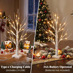 PEIDUO Christmas Decorations, 2FT Birch Tree with LED Lights, Warm White Light up Tree Lamp, Artificial Trees for Home Table Inside, Battery Powered, Timer (2PK)