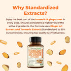 Turmeric Curcumin Supplement with Ginger Root for Joint Support, Digestive & Gut Health - Contains Organic Turmeric Curcumin with Black Pepper (Bioperine) for Enhanced Absorption - 60 Capsules, 2 Pack