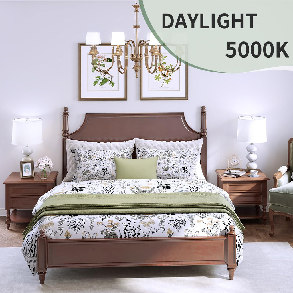 evelor A19 LED Light Bulbs,60 Watt Equivalent Daylight 5000K with E26 Base,Efficient 9W,800 Lumens Non-Dimmable LED Bulbs,15000 Hours, Ideal for Bedroom Living Room, 12-Packs
