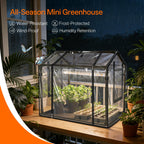 Bstrip Mini Indoor Greenhouse with Grow Light, Tabletop Seed Starting Tent
