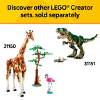LEGO Creator 3 in 1 Medieval Dragon Toy - Building Toy with 3 Build Options, Dragon, Sea Serpent, or Phoenix - Fantasy Set for Kids, Boys and Girls, Ages 9+ - Gift Idea for Birthdays - 31161