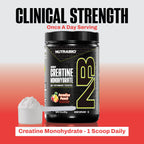 NutraBio Pure Micronized Creatine Monohydrate Powder Supplement,Paradise Punch,(300g)-Supports Bulk Muscle Energy, Recovery, and Strength-HPLC Tested Creatine Powder Supplement for Men and Women