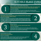6-Pack 31.5” Plant Support Stakes, Steel Plant Cage & Peony Tomato Hydrangea Cage, Garden Stakes for Outdoor Plants, Heavy-Duty Plant Stakes, 16.7” Support + 14.8” Extension Tubes