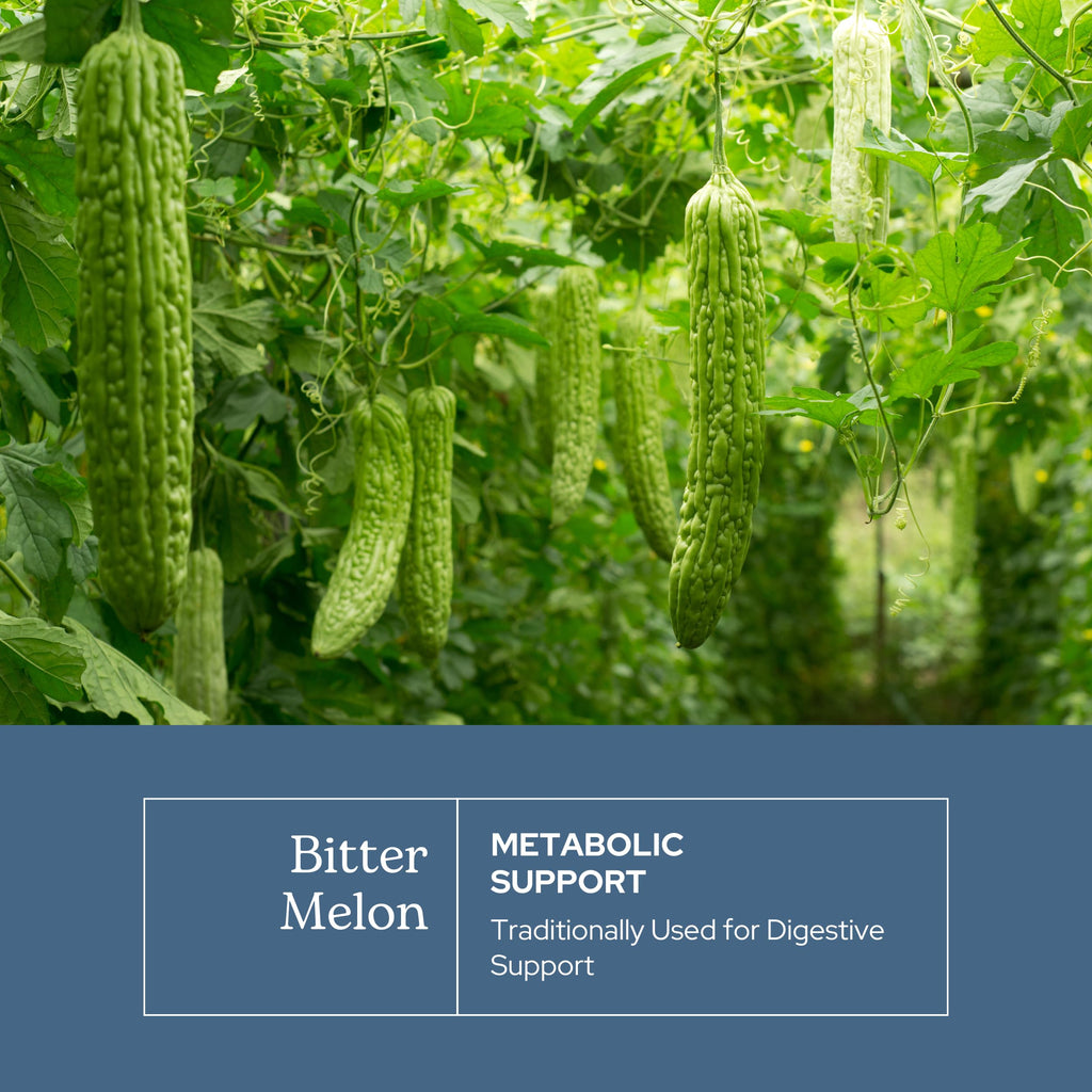 Eclectic Herb - Bitter Melon Capsules | Digestion & Immune Support Supplement | Overall Wellness Support | US-Grown, Vegan, Non-GMO, Gluten Free (90 CT | 200 mg)