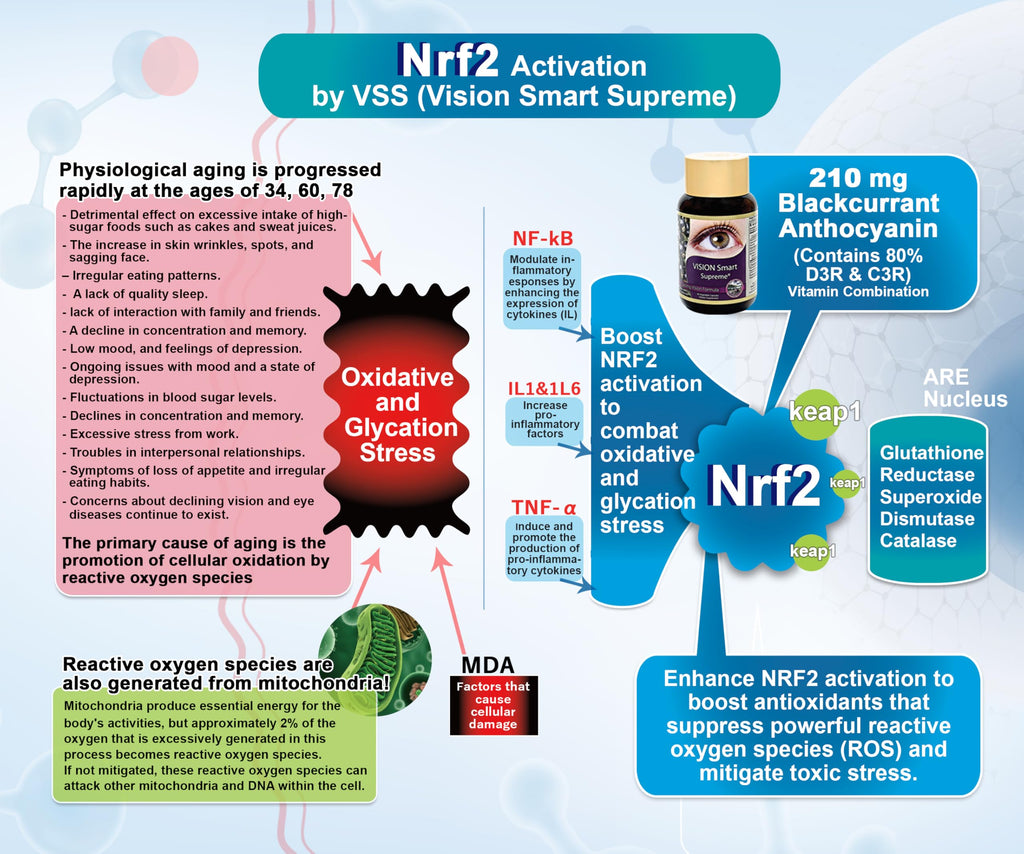 Vision Smart Supreme - Superior Eye Supplement, Premium Nutraceutical Ingredients with 210mg of Pure Anthocyanins of D3R and C3R, Protect and Enhance Eye Health Completely (3 Bottles)
