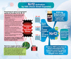 Vision Smart Supreme - Superior Eye Supplement, Premium Nutraceutical Ingredients with 210mg of Pure Anthocyanins of D3R and C3R, Protect and Enhance Eye Health Completely (3 Bottles)