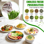 4 Tier Stackable Sprouts Growing Kit with Drain Hose, Microgreens Trays