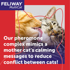 FELIWAY MultiCat 30 Day Cat Calming Plug In Pheromone Diffuser Starter Kit, 48ml - Helps Reduce Conflicts and Signs of Tension in Multi-Cat Households