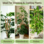 3-in-1 Moss Pole, Bendable 30IN Monstera Plant Support for Indoor-2 Pack