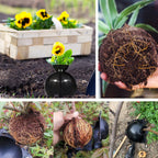 12PCS Reusable Air Layering Pods for Plant Rooting Growing Propagation Ball