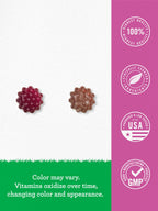 Carlyle Elderberry Gummies for Kids | 120 Count | Zinc and Vitamin C | Berry Flavor | Vegan, Non-GMO, and Gluten Free | by Lil' Sprouts