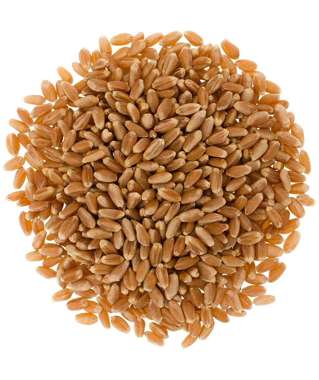 Certified Glyphosate Residue Free Hard Red Winter Wheat Berries | 18 LBS | Family Farmed in Washington State | Non-GMO Project Verified | 100% Non-Irradiated | Certified Kosher Parve | Field Traced