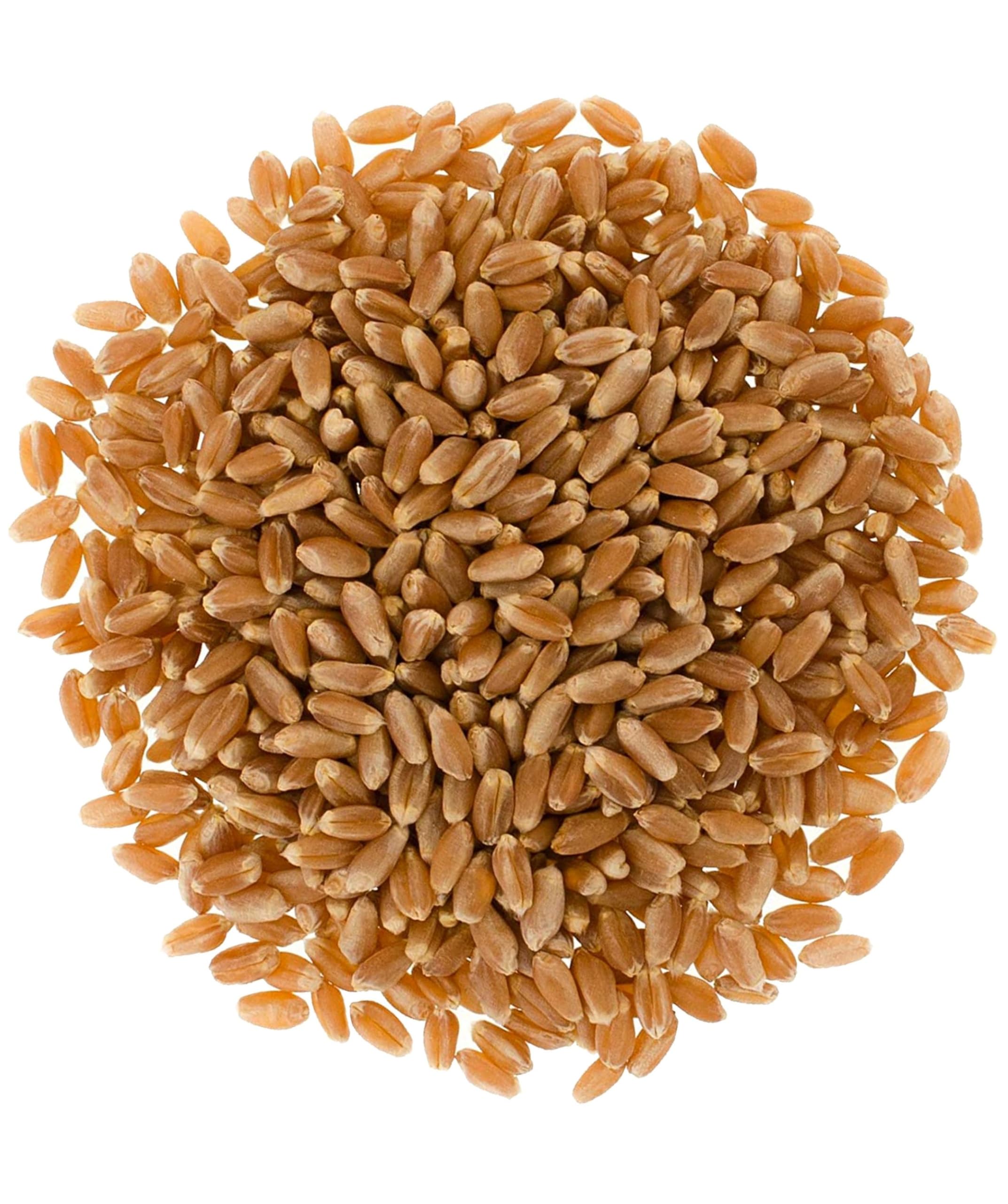 Certified Glyphosate Residue Free Hard Red Winter Wheat Berries | 18 LBS | Family Farmed in Washington State | Non-GMO Project Verified | 100% Non-Irradiated | Certified Kosher Parve | Field Traced