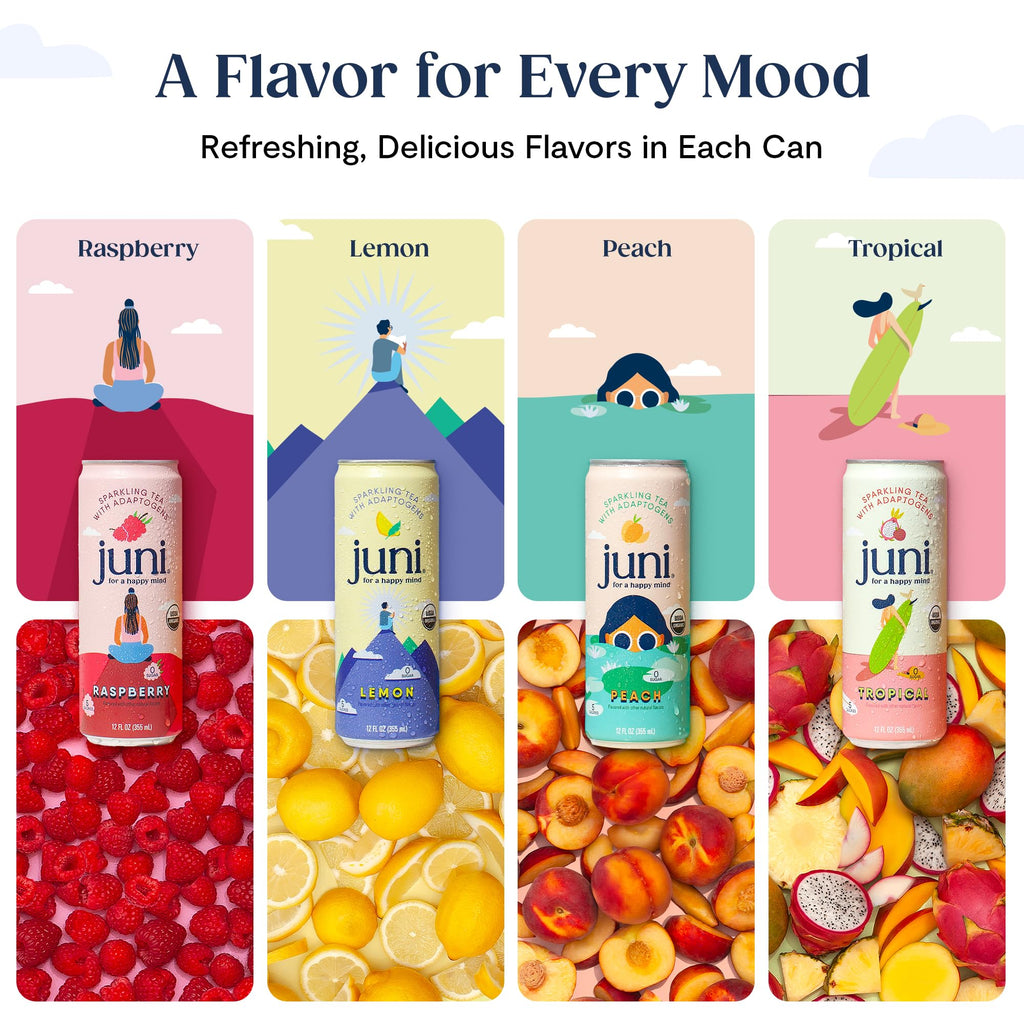 Juni Sparkling Adaptogen Drink, Mood and Focus, Variety 12 Pack