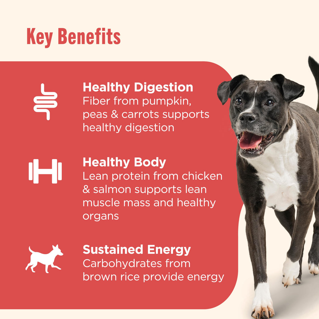 Nutrish Gentle Digestion Paté Wet Dog Food,13 oz. Can, (Rachael Ray)