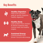Nutrish Gentle Digestion Paté Wet Dog Food,13 oz. Can, (Rachael Ray)