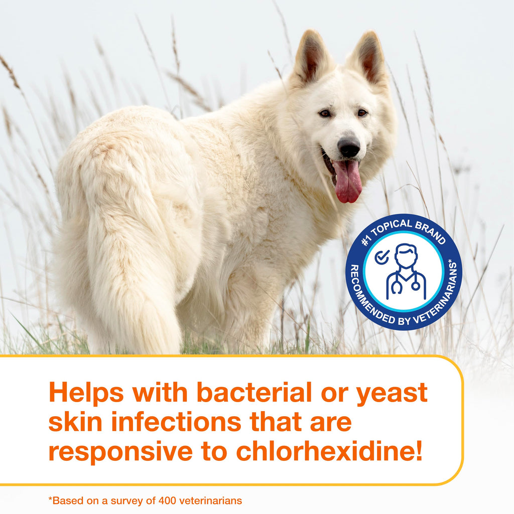 Douxo S3 PYO Chlorhexidine Shampoo For Dogs, Medicated Shampoo Antibacterial & Antiseptic, Yeast Infection Treatment for Dogs & Cats, Clinically Proven, 16.9 fl oz