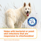 Douxo S3 PYO Chlorhexidine Shampoo For Dogs, Medicated Shampoo Antibacterial & Antiseptic, Yeast Infection Treatment for Dogs & Cats, Clinically Proven, 16.9 fl oz
