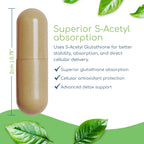 Return Healthy Glutathione Symmetry | S-Acetyl Glutathione Supplement | Antioxidants & Detoxification Supplement | Natural Cellular Support | All-Natural, Vegan, Non-GMO, 120 caps