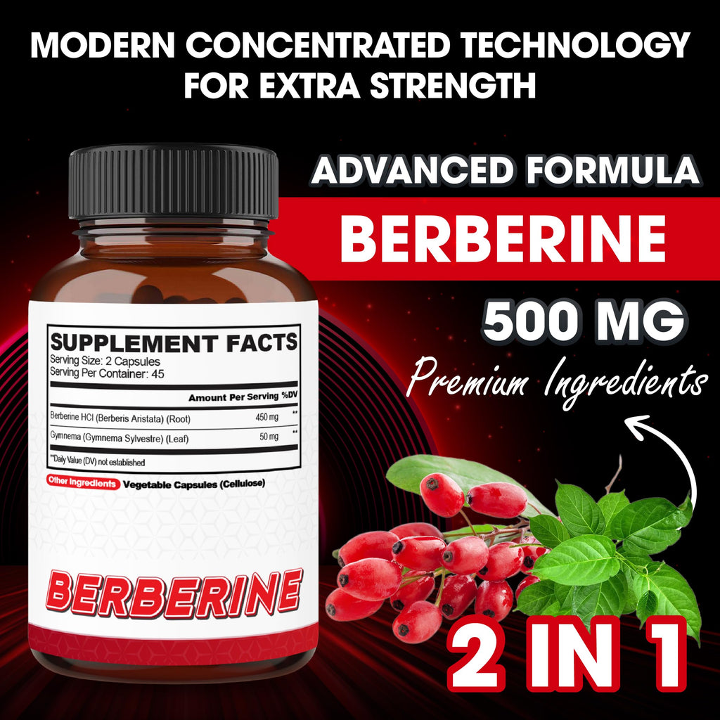 agobi Berberine Supplements 500mg with Gymnema Sylvestre - Super Concentrated Formula for Immune System, Circulation Health, Digestive & Energy Production - 90 Capsules