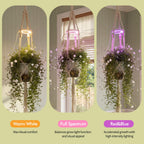 Lazukes 2 Pack Hanging Plant Grow Lights for Indoor Plants with Timer, Wall Mounted Full Spectrum Pendant Growing Light with Macrame Plant Hanger, Ceiling LED Planta Luz for Potted Plants Home Decor