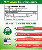 aSquared Nutrition Pure Berberine 1000mg Supplement - 180 Veggie Capsules, Natural Berberine Hydrochloride HCL Plus, Max Strength 1000 mg (2X 500mg), Potent Berberine Vegan Extract