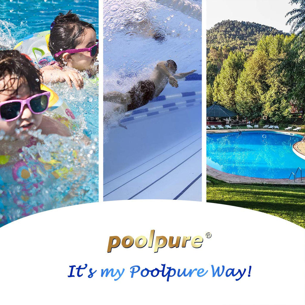 POOLPURE Antimicrobial PLFC-8465-M Spa Filter Replaces Watkins 31114, Compatible Unicel C-8465RA, Pleatco PWK65-M, Filbur FC-3960M, 71827, 71828, 65 sq. ft Hot Spring Spa Filter (1pack)