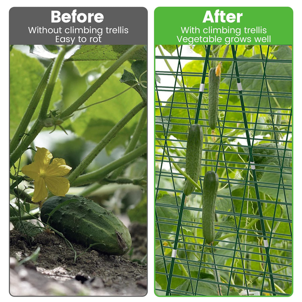 Toriexon Foldable Cucumber Trellis 48" L x 34" W