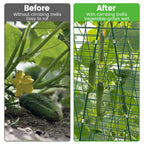Toriexon Foldable Cucumber Trellis 48" L x 34" W