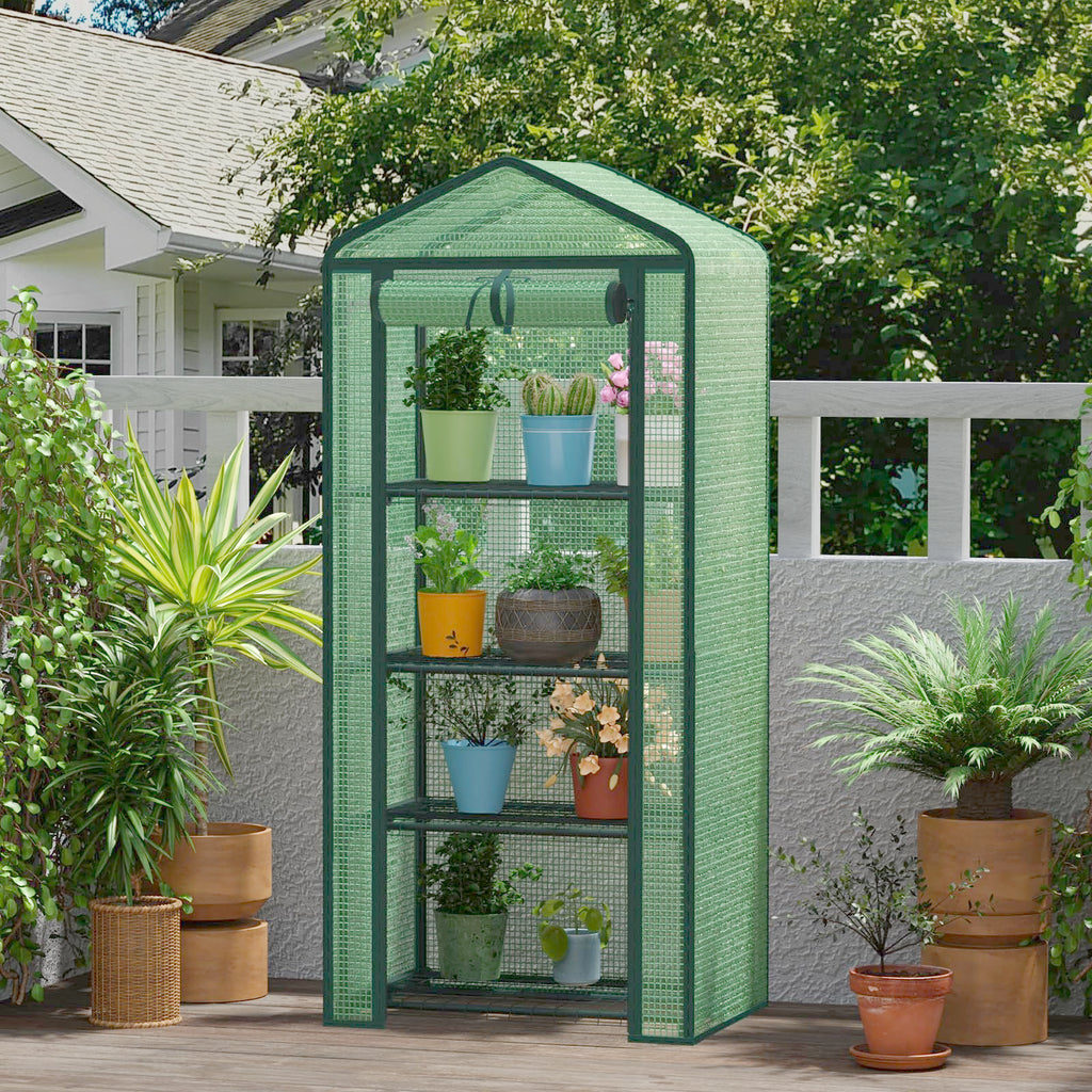 TianC beauty 4-Tier Mini Greenhouse for Indoor Outdoor