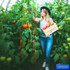 6-Pack Tomato Cage for Garden Plant Support- Up to 46inch