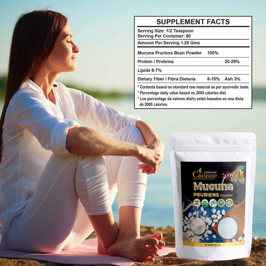 Organic Cadane Mucuna Pruriens Powder 1 Pound | Promotes Brain Health, Supports Immune System, Energy | USDA Certified Vegan-Friendly Supplements | Pure Natural Velvet Beans Extract from India