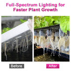 450W Outdoor Grow Lights, Full Spectrum LED Plant Light Waterproof
